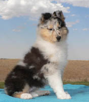 CHLOE