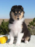 JULIET 8 weeks