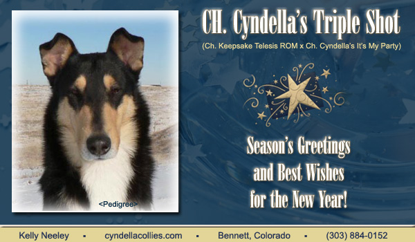 December 2007