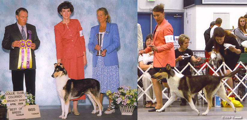 APRIL and JUNE 2009